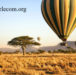 Sejarah dan Keunikan Serengeti