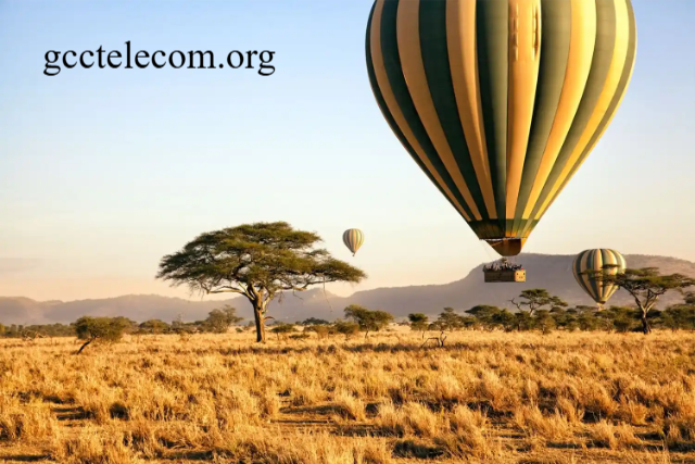 Sejarah dan Keunikan Serengeti